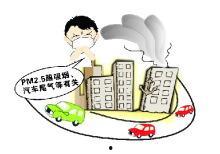 黑色楼层在线观看,黑色楼层在线观看之旅