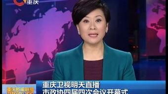 重庆卫视直播在线观看,实时捕捉山城魅力瞬间