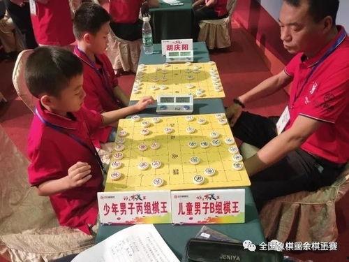 少年棋王在线观看,指尖上的传奇，青春岁月的棋盘征途