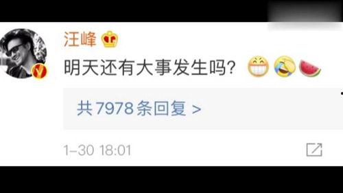 娱乐吃瓜论坛官网,带你走进娱乐圈幕后风云