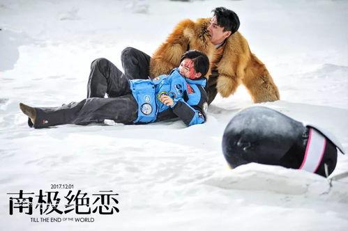 在线观看南极之恋,南极之恋的浪漫冒险之旅