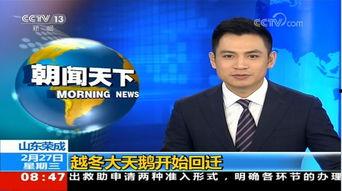 在线观看山东卫视,在线观看不容错过的视听盛宴