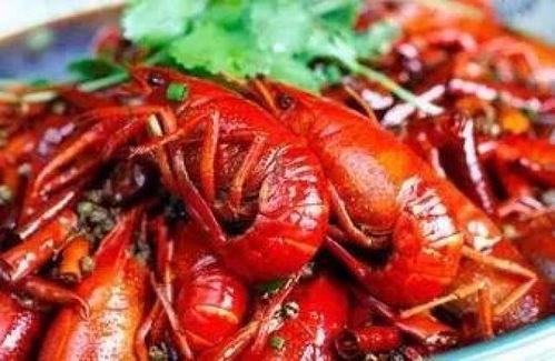 《龙虾》在线观看