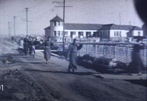 南京1937完整版在线观看,见证历史悲歌的完整版在线重现