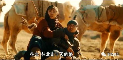 电影骆驼客1在线观看,丝绸之路上的传奇之旅在线观影指南
