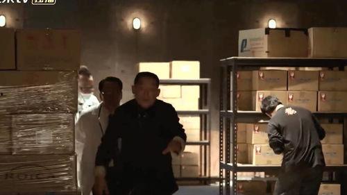 游魂在线观看,穿越幽冥，探寻生死之谜