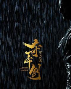 浴血之剑在线观看,热血激战，剑指巅峰