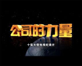 公司的力量在线观看,在线观看的力量之旅