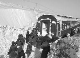 暴雪1814在线观看,在线观看，揭秘电竞巅峰对决