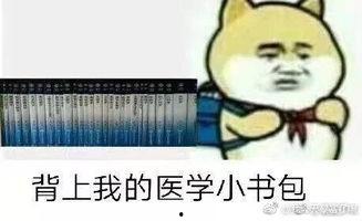 娱乐吃瓜酱学医的意义,趣味与知识的双重收获
