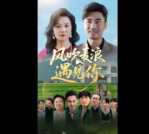 你 在线观看,探索数字时代的影视盛宴
