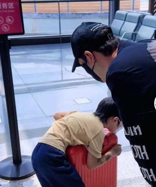 山父女视频在线观看,共度美好亲子时光视频回顾