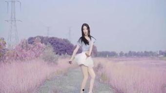 孤独在线观看,揭秘网络世界的孤独现象