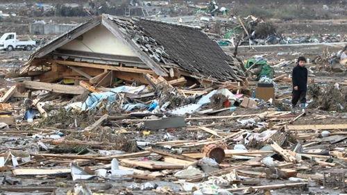 日本大地震与美国,跨国灾难应对与合作启示