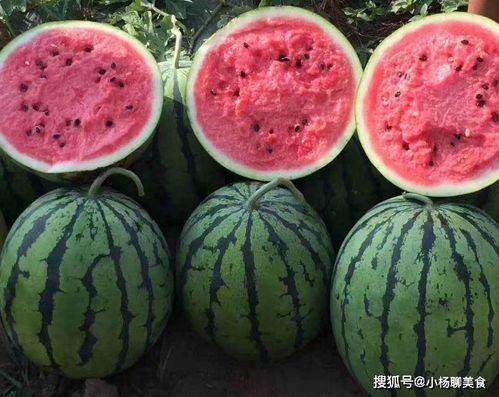 娱乐吃瓜酱拼好票,揭秘明星幕后故事，带你走进娱乐圈的精彩瞬间