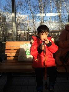 日本 小桃,探寻日本传统美食的魅力