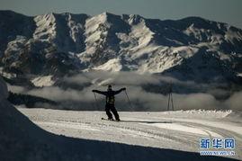 加山在线观看,揭秘热门影视作品的魅力所在