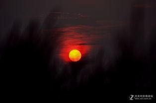 拥抱月亮的太阳在线观看,在线共赏拥抱月亮的太阳