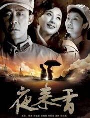 电视剧夜来香全集在线观看,繁华背后的情感纠葛