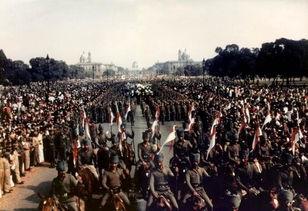 虚宾 在线观看,揭秘虚拟世界中的神秘宾客