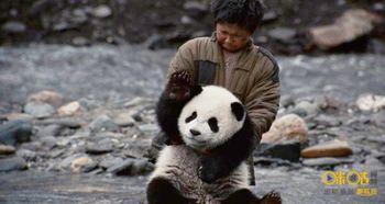 熊猫影视在线观看,畅享海量影视资源，尽在指尖