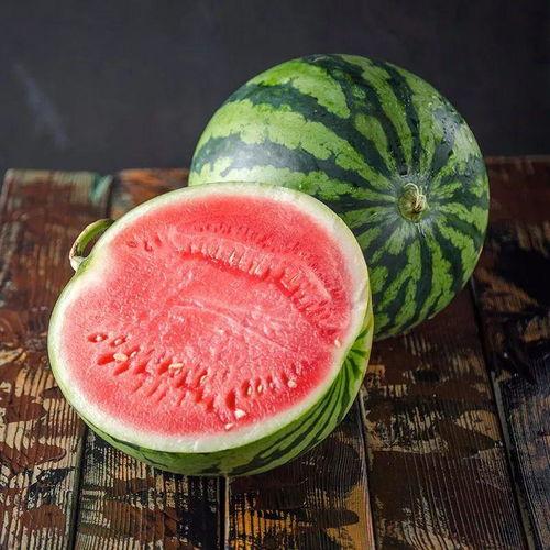 800在线观看西瓜,畅享海量影视资源，轻松观影新体验