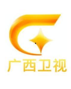 广西电视台在线观看,尽享视听盛宴，畅游八桂风情