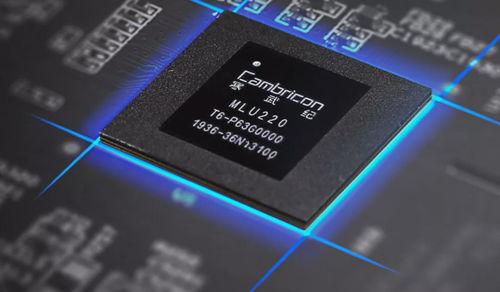 寒武纪20在线观看,穿越时空的奇幻之旅