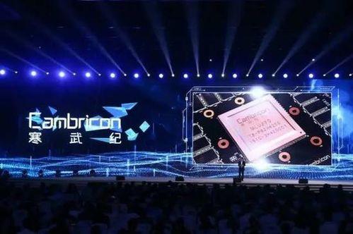 寒武纪20在线观看,穿越时空的奇幻之旅