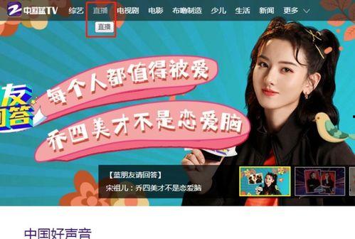 浙江卫视直播在线观看回看,精彩瞬间尽收眼底