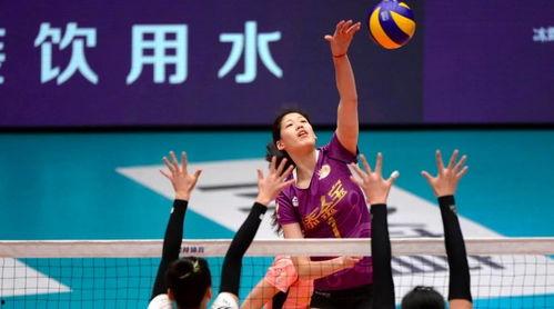 女排联赛 在线观看,在线观看不容错过！