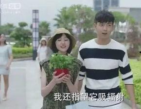 夏至未至在线观看搜狐,青春记忆的温暖回响