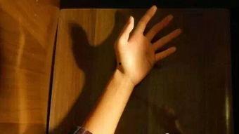 白手掌在线观看,揭秘神秘力量，在线观看探秘之旅