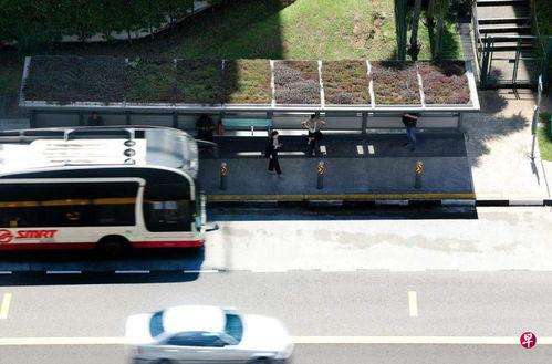 巴士站在线观看,在线探索未知旅程