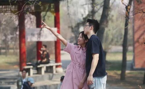 在线观看春色无边,一场视觉与情感的盛宴