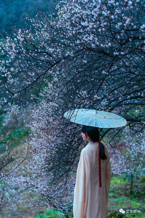 在线观看春色无边,一场视觉与情感的盛宴