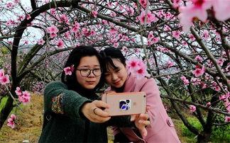 在线观看春色无边,一场视觉与情感的盛宴