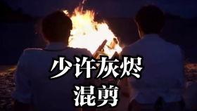 少许灰烬在线观看,探寻生命余烬中的温暖与希望