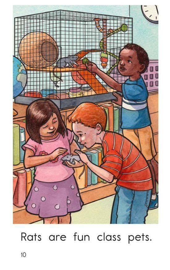 the pet在线观看,跟随the pet在线之旅