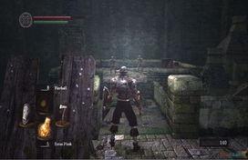 黑暗灵魂在线观看,沉浸式游戏体验背后的故事