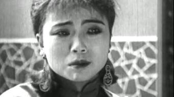 雛 在线观看,穿越时空的青春记忆