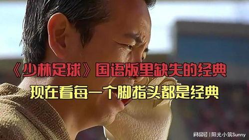 少林足球国语在线观看,笑傲足坛的少林传奇