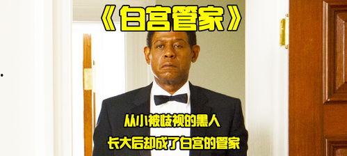 白宫管家在线观看,揭秘白宫幕后风云