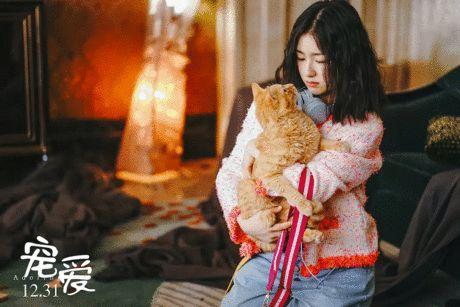 《宠爱》在线观看