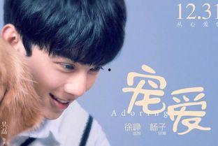 《宠爱》在线观看