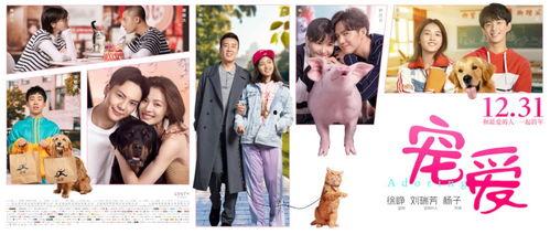 《宠爱》在线观看