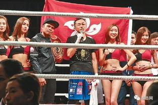 吃瓜娱乐拳击比赛视频播放,吃瓜群众围观精彩拳击比赛视频
