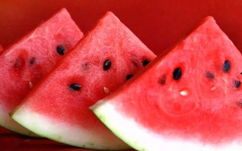 宫泰国版在线观看西瓜,穿越时空的浪漫传奇