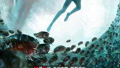 在线观看食人虫,在线惊悚之旅，揭秘致命昆虫的恐怖世界