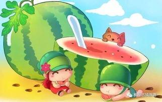 娱乐吃瓜君和罗小猫